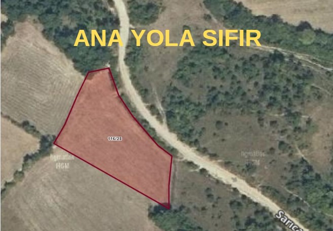 SİNOP GERZE YENİKENTKÖYÜ 2.187 M² TARLAMIZ SATILIKTIR. - SİNOP GERZE fotoğraf 7